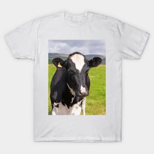 Frisian Cow, Peak District T-Shirt